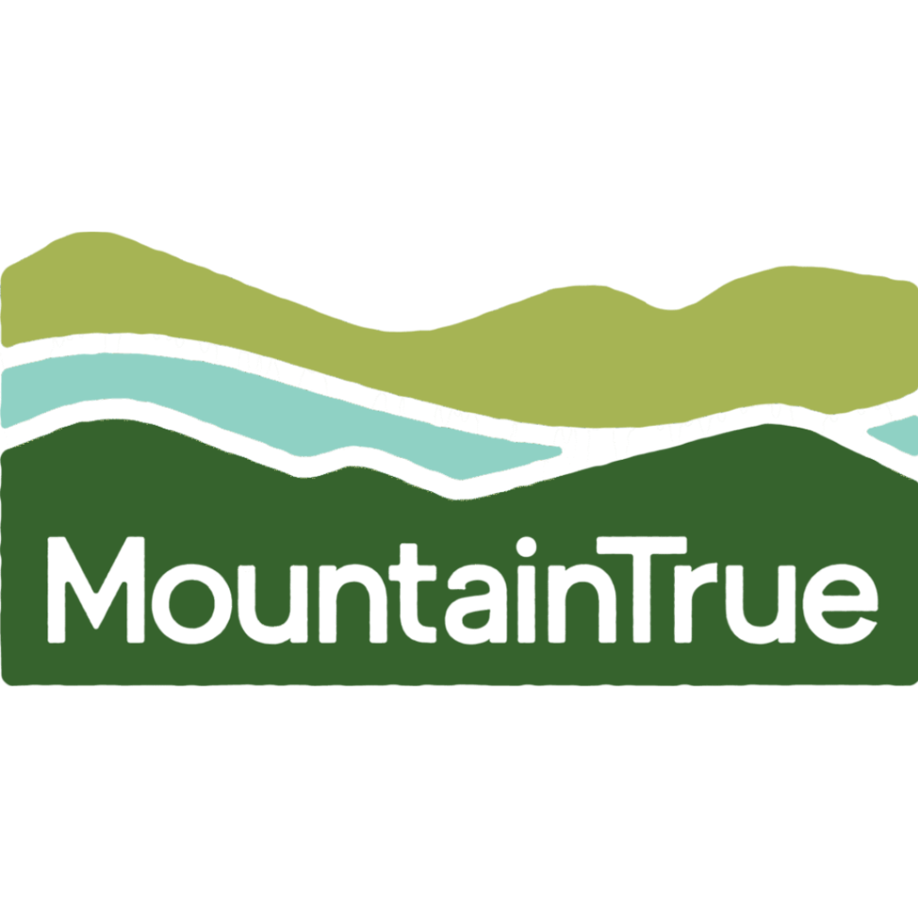 Mountain True logo