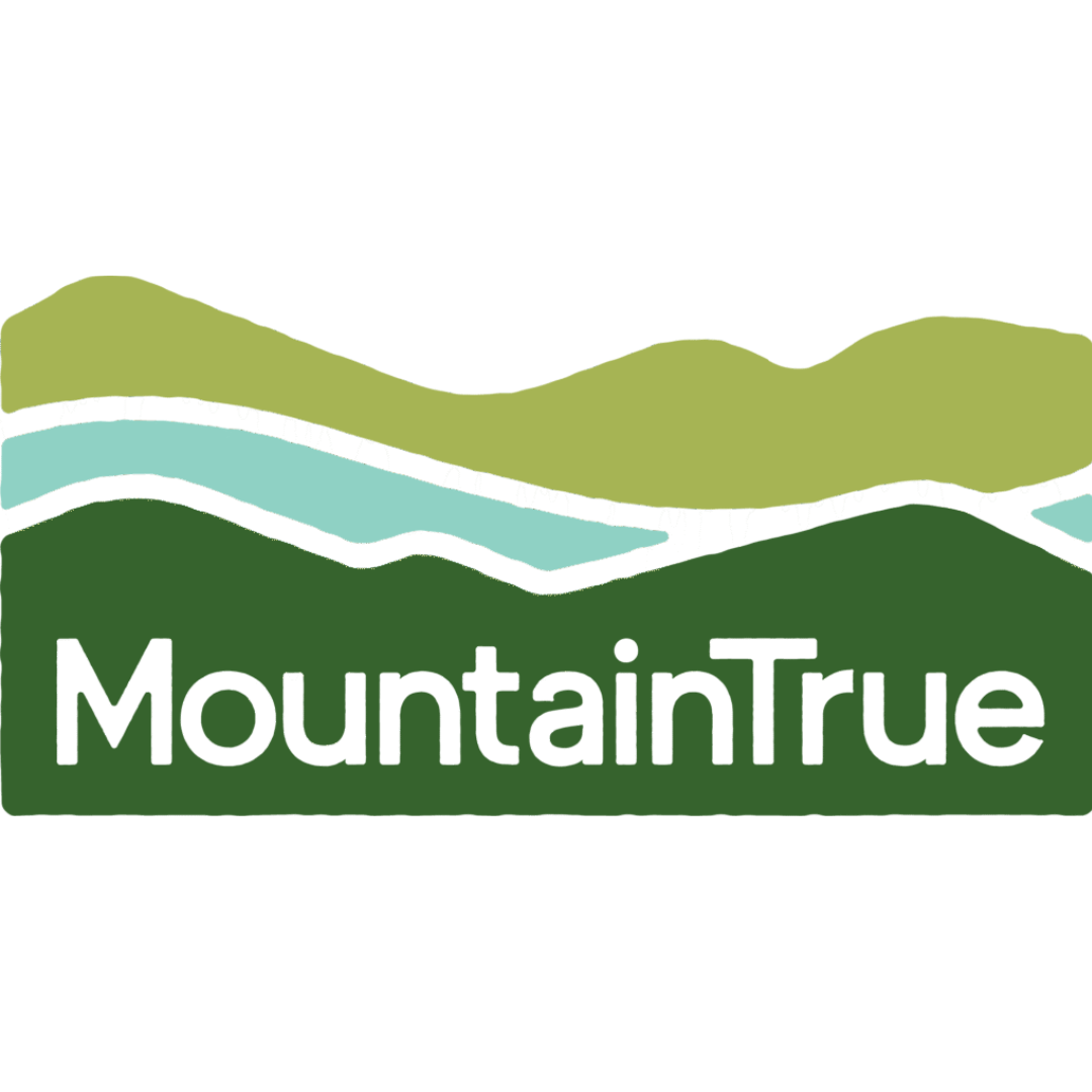 Mountain True logo